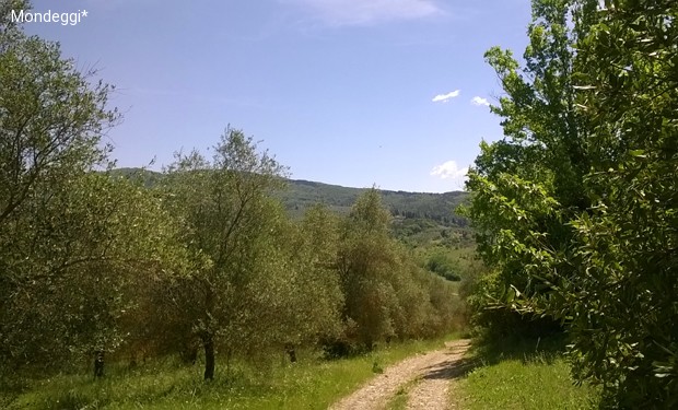 La rivoluzione di una “fattoria senza padroni”. Il “bene comune” è di casa a Mondeggi